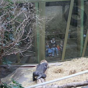 Watching the children