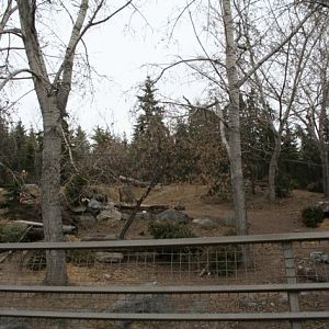 Wolf Exhibit