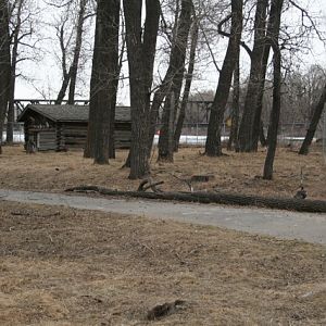 Mulle Deer Walk-Through