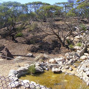 Chimpanzee Exhibit - April, 2010
