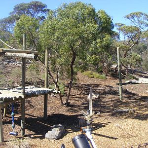 Chimpanzee Exhibit - April, 2010