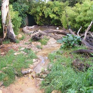 Otter Exhibit - April, 2010