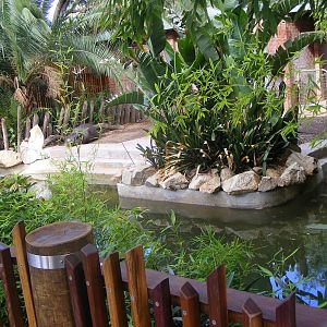 Pygmy Hippo Exhibit - April, 2010