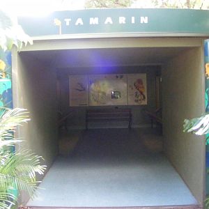 Tamarin House - April, 2010