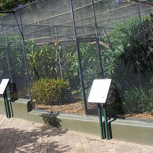 Aviaries - April, 2010