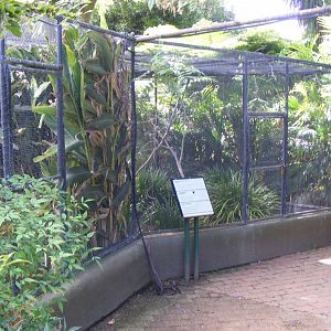 Aviaries - April, 2010