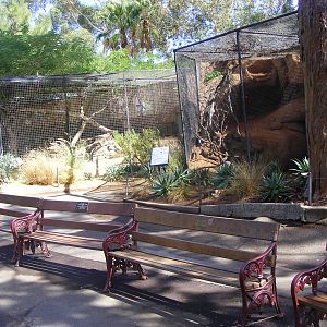 Serval and Fennec Fox Exhibits - April, 2010