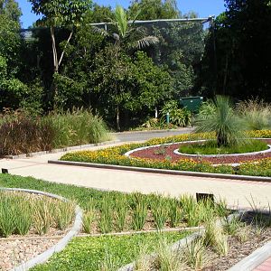Garden  - April, 2010