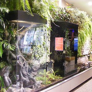 Inside the Envirodome - April, 2010