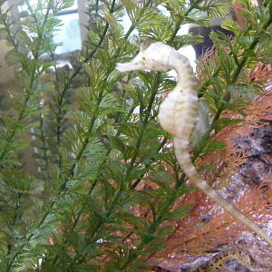 Inside the Envirodome - April, 2010