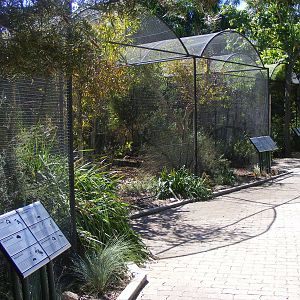 Aviaries - April, 2010