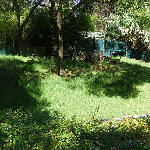 Empty Exhibit - April, 2010