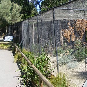 Aviaries - April, 2010