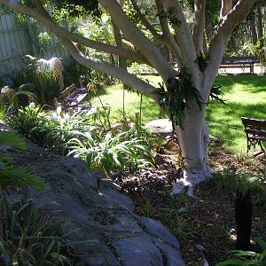 Garden Past the Orang Exhibit - April, 2010