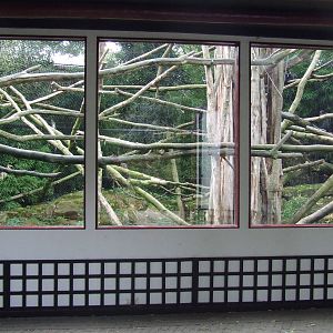 Francois Langur enclosure