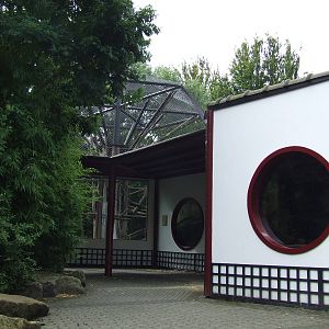 Francois Langur enclosure and house
