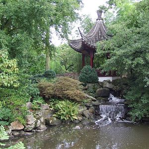Chinese Garden