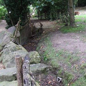 Dry-moat of the Philippine Spotted Deer exhibit