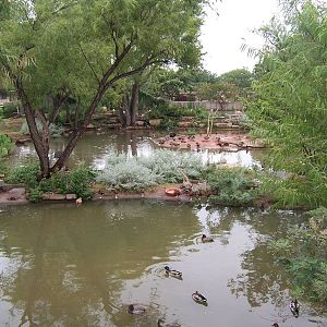 Waterfowl Pond