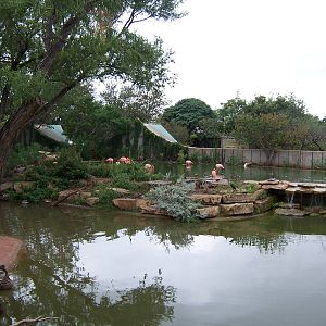 Waterfowl Pond