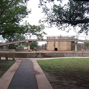 Giraffe yard and visitor bridge