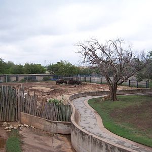 View from Giraffe Bridge