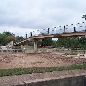 Giraffe Bridge