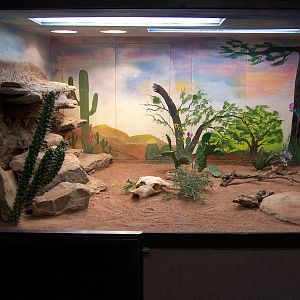 Reptile House
