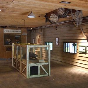 Asia House, Rumah Asia, interior, Blackbucks