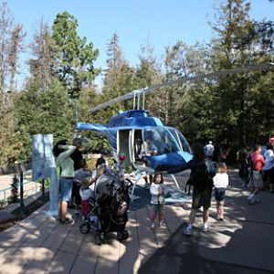 The New Polar Bear Plunge