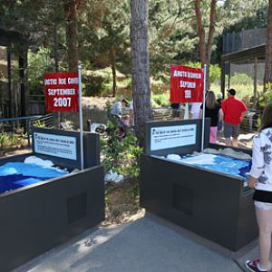 The New Polar Bear Plunge