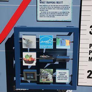 The New Polar Bear Plunge