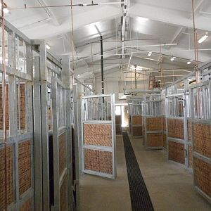 Giants of the Savanna - Hoofstock Barn