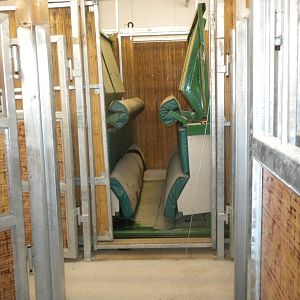 Giants of the Savanna - Hoofstock Barn squeeze chute