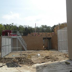 Giants of the Savanna - Giraffe drawbridge