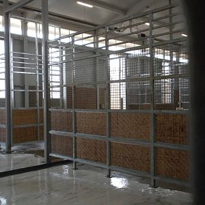 Giants of the Savanna - Giraffe barn