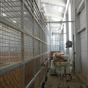 Giants of the Savanna - Giraffe barn