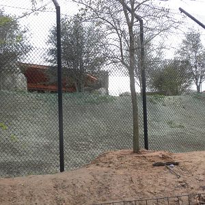 Giants of the Savanna - back of Cheetah exhibit