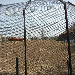Giants of the Savanna - back of Lion exhibit