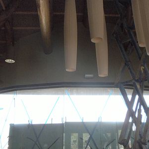 Giants of the Savanna - Restaurant