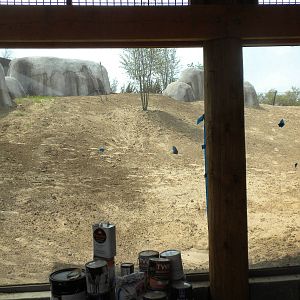 Giants of the Savanna - Lion exhibit