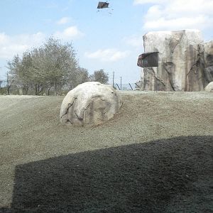 Giants of the Savanna - Cheetah exhibit