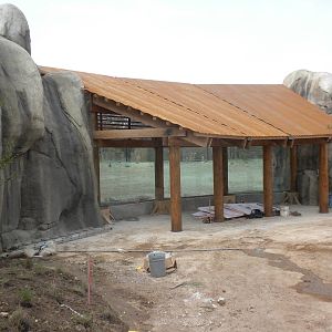 Giants of the Savanna - Cheetah exhibit