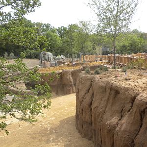 Giants of the Savanna - Giraffe feeding area