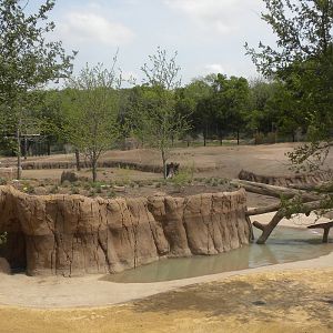 Giants of the Savanna - Giraffe area and North Habitat