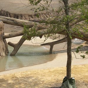 Giants of the Savanna - exhibit barrier