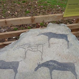 Moose Rock Carvings