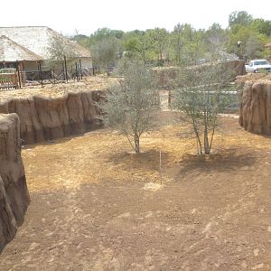 Giants of the Savanna - Donga