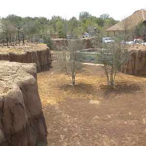 Giants of the Savanna - Donga