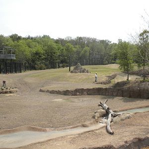 Giants of the Savanna - South Habitat